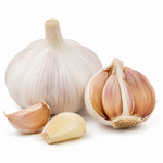 Allium sativum (Garlic)