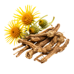 Inula racemosa