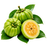 Garcinia Cambogia